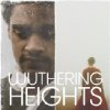 film Wuthering Heights (2011)- IMDb